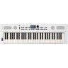 ЦИФРОВЫЕ ПИАНИНО, РОЯЛИ И ОРГАНЫ ROLAND GO:KEYS-5-WH 91751