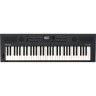 ЦИФРОВЫЕ ПИАНИНО, РОЯЛИ И ОРГАНЫ ROLAND GO:KEYS-5-GT 91752